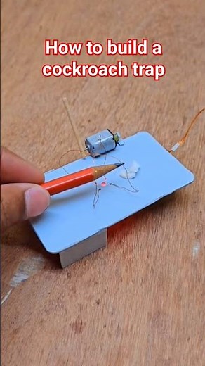 how to build a cockroach trap