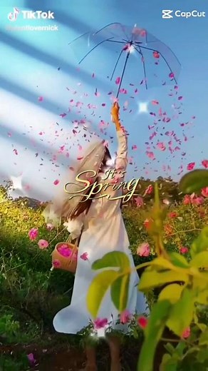 Spring Aesthetic: Dreamy Scenes of Nature's Beauty