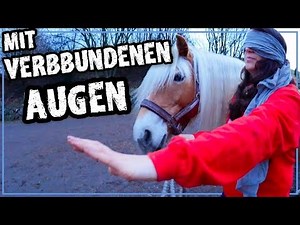 Mit verbundenen Augen beim Pferd!