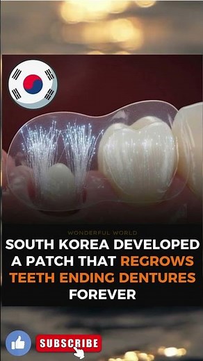 Scientists Discover First Real Tooth Regrowth Treatment — Dentistry Will Never Be the Same