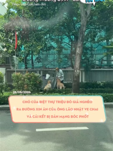 Chó của biệt thự triệu đô giả nghèo ra đường xin ăn của ông lão nhặt ve chai bị dân mạng bóc phốt #odaycotinmoi #xuhuong #learnontiktok