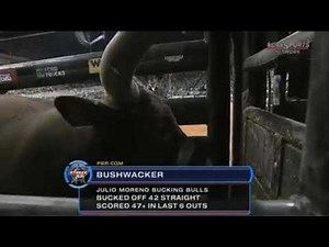 JB Mauney VS. Bushwacker