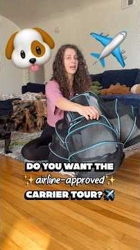 Airline-Approved Dog Carrier ✈️ #dogs #dogtravel #travel