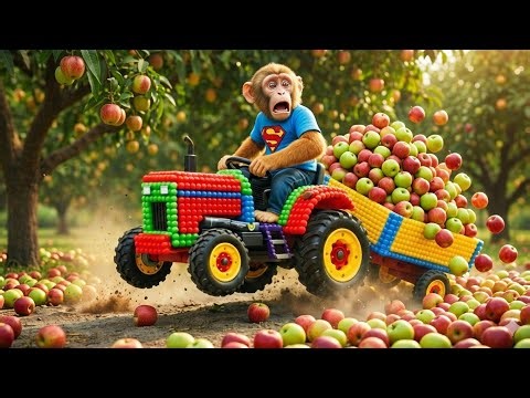 🍎🐒 apple farming monkey tractor drive | monkey tractor driving apple farm