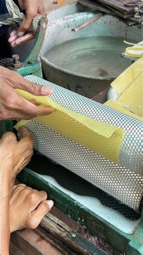 The obstacle of grinding wax is associated with the lack of #grinding #insect #animal #bee #natural