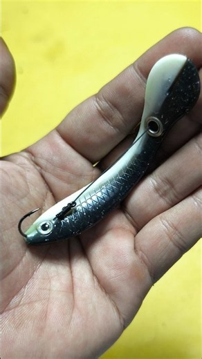 Tips for Easily Attaching a Hook to Fishing Bait