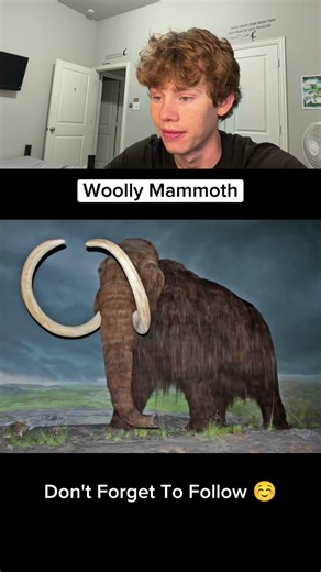 Animals that scientists are trying to bring back 🤯