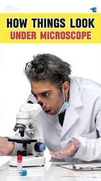 How Things Look Under Microscope🔬😯|Must Watch| #microscope #scarythings #facts #education #knowledge