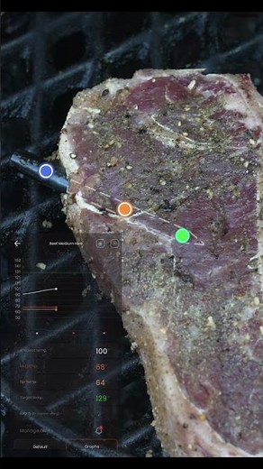 Meat It 3 Wireless Meat Thermometer