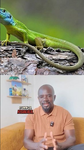 Kikongo vocabulary #shortvideo