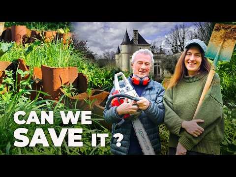 Saving the Chateau Veg Patch: Weeds, Molehills and a Bamboo Takeover