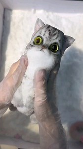 Check out this adorable sticky cat miniature toy! It's super satisfying to squish and stretch, perfect for fidgeting or stress relief. Cat lovers will adore how playful and fun it is, making it an irresistible desk companion or playful gift idea. Who knew something so simple could bring so much joy! | Asian Technology