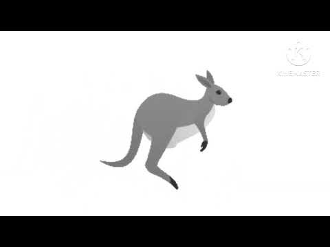 (RARE) BabyFirst TV Black And White Kangaroo 3