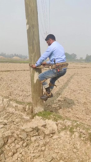 Wooden Pole Climbing Techniques for Linemen