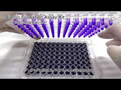 Biofilm Formation Assay Kit 同仁化学研究所