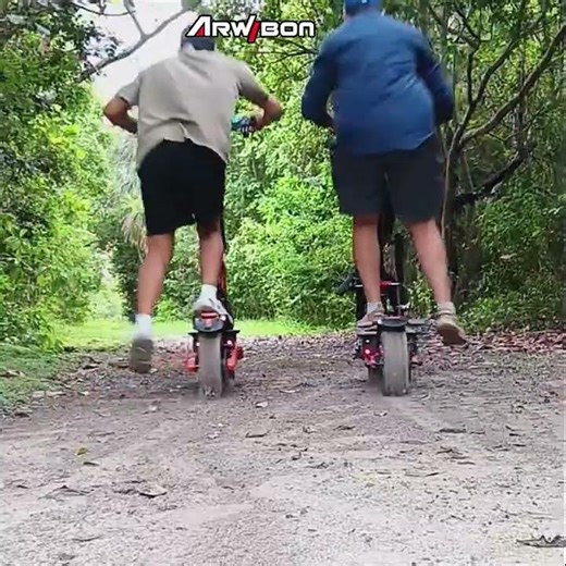 GT08 Heavy Duty Scooter with 300 lbs Load Capacity