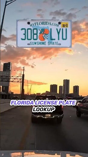 Florida License Plate Lookup #licenseplatelookup