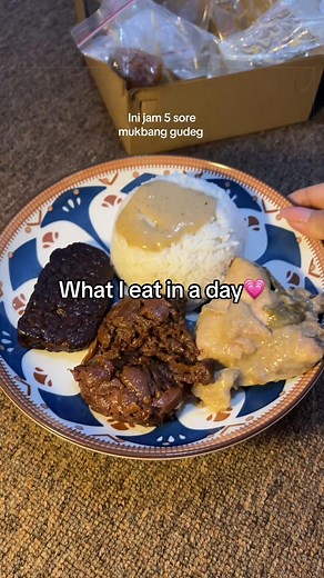 Hari Ini What I Eat in a Day IF Diet Journey bb 47 kg