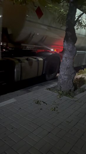 22K views · 173 reactions | Светла Стоянова on Reels | Facebook