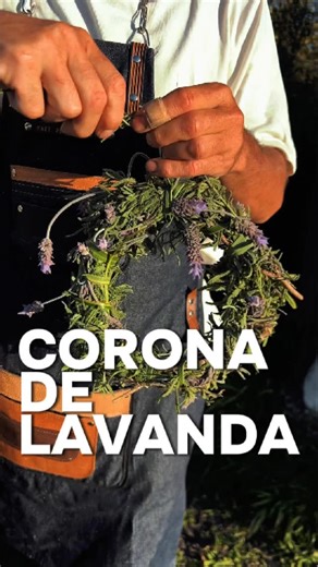 Maxi Sanchez on Instagram: "✨ Hoy te enseño a hacer una corona de lavandas! ✨ Un detalle simple, hermoso y aromático 💜 La podés poner en la puerta, en el arbolito, en el respaldo de la cama o como centro de mesa… ¡dejá volar tu imaginación! Si querés aprender mucho más, entrás al WhatsApp que está en mi perfil, me hablás y te sumás a la próxima formación online o presencial 🌿🏡 #lavanda #decoracionnatural #hechoamano #diynavidad #permacultura #maxipermacultura"