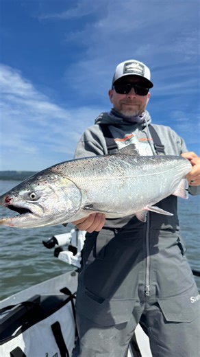 Fun day on the water with friends filming an episode today! Not lights out fishing, but good enough to get a few. We stuck with trolling herring but did see a few landed on 360’s. Chrome Shortbus triangle flasher, natural brine & bite from pro cure, with 4/0, 3/0 Addicted Salmon Fine Wire Bait Hooks & cut plug herring was the ticket for us. Im using the 1092H X-Troll rods for all my salmon fishing now, I love these things! #alumaweld #salmonfishing #addictedfishing | Addicted Fishing