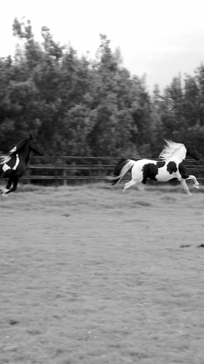 14K views · 58 reactions | autumn's contemplation finds its sanctuary. #monastery | Monastery | Facebook