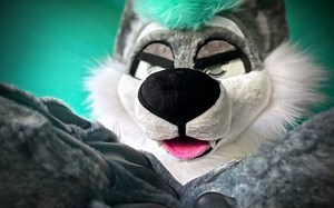 [FURRY] Werewolf BF Cuddle You To Sleep