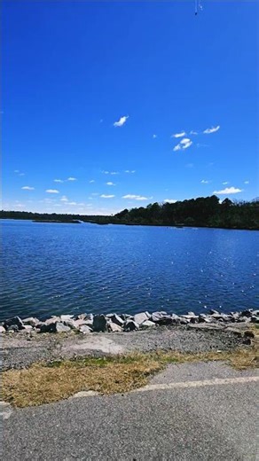 Beautiful Sheldon South Carolina one of many back road where you might find hidden wonders