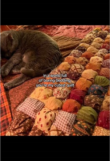 My Cutest Quilt: Cozy Bedding Inspiration