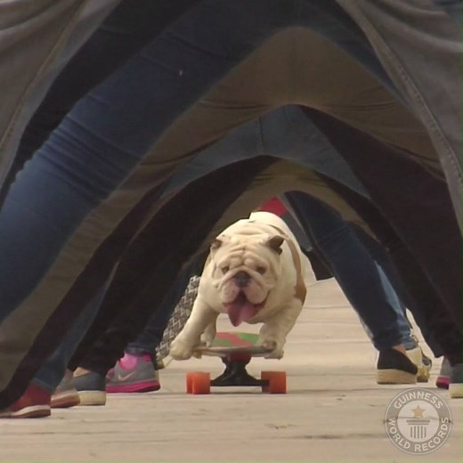 2.1M views · 3.6K reactions | Otto Bulldog Skater from Peru hit...