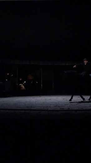 ENTRE CHIENS ET LOUPS en Avant-Première jusqu’au 8 février. Création les 13 & 14 juin 2025 au Théâtre de la Mer à Sète ! | Camille Centaure