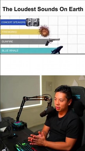 Ranking The Loudest Sounds On Earth
