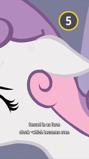 Dark Facts About My Little Pony Number 5: The Non-Ponies #mylittlepony #mlp