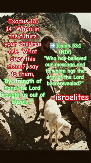 Biblical case study - Son of God