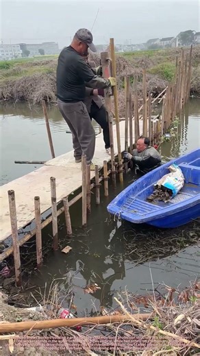 Watch Workers Build A Riverbank Retaining Wall By Hand | No Machinery Just Simple Tool & Steel Piles