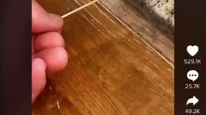 'Burn everything': Brit's 'massive' spider video ridiculed by Aussies