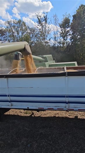 2.5K views · 43 reactions | First time I've ever seen this. 2 Combines dumping in one truck #bigtractorpower #agri #farmequipment #farm #johndeere #machine #agriculture #harvest #farmer #farming | Michigan Farmer | Facebook