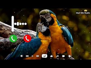 New Islamic Ringtone | 2020 Top Islamic ringtone | Best ringtone | Islamic WhatsApp Status