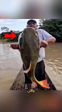 A huge fish in the Amazon River shocks fishermen #shorts