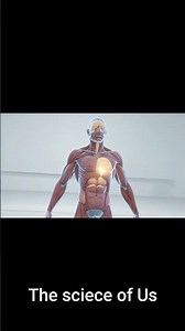 What Happens If You Don’t Eat for 24 Hours? (Body Timeline Explained)