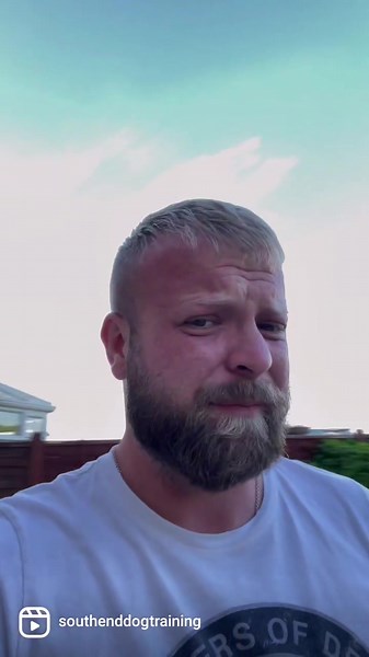 153K views · 2.5K reactions | What It’s Like Owning A Labrador #labrador #labradorretriever #dogsofinstagram | Southend Dog Training | Facebook