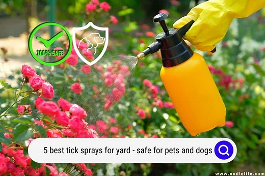 5 Best Tick Sprays For Yard (2026) (Safe For Pets And Dogs) - OodleLife®