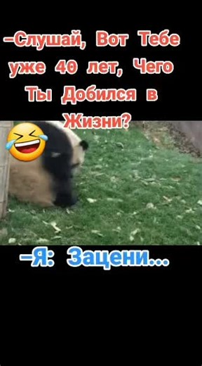 Os vídeos de ❤❤❤Солнышко❤❤❤ (@s_o_l_n_i_w_k_o_60) com оригинальный звук - ❤❤❤Солнышко❤❤❤