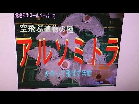 空飛ぶ植物の種アルソミトラを作って飛ばす
