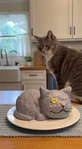 Homemade Cat Cake Fails Hilariously, Real Cat Reacts Furiously