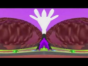 Deaf Mickey Mouse Clubhouse Theme Song in Deaf Major