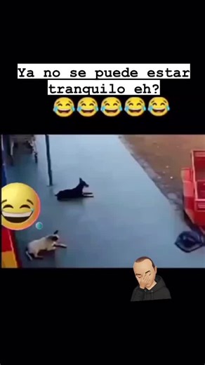 Nasco (@nas_nasco)’s videos with original sound - Nasco