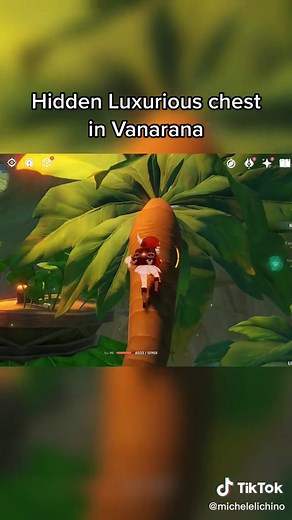 Hidden Luxurious Chest in Vanarana
