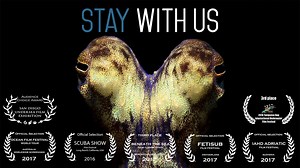 Have you ever wanted to see real life Aliens? They live in the ocean. Check out my fun underwater film 'Stay With Us". Make sure you turn up the VOLUME! | OceanShutter