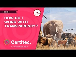 How do I work with transparency in InDesign?